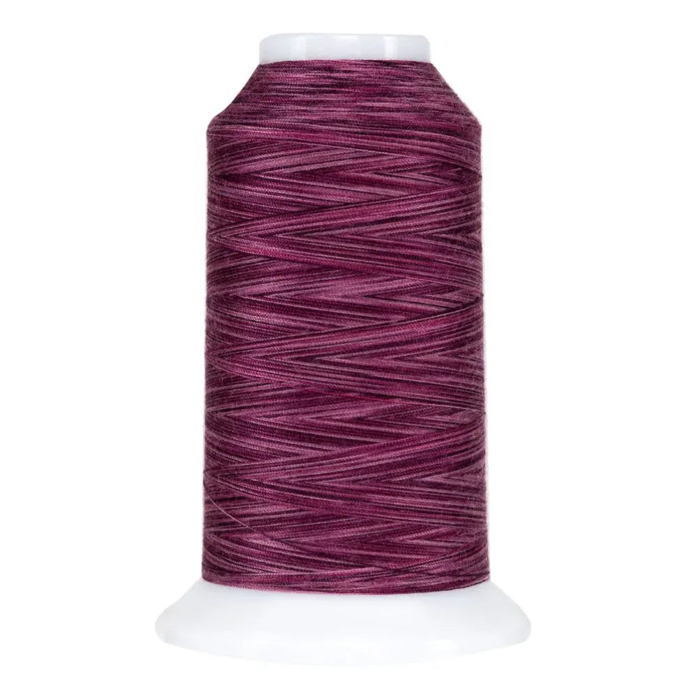 9072 Bumbleberry Omni Variegated Polyester Thread