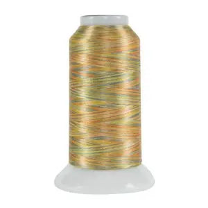 5089 Mesa Fantastico Variegated Polyester Thread