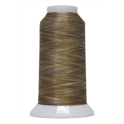 5134 Dinosaur Tracks Fantastico Variegated Polyester Thread