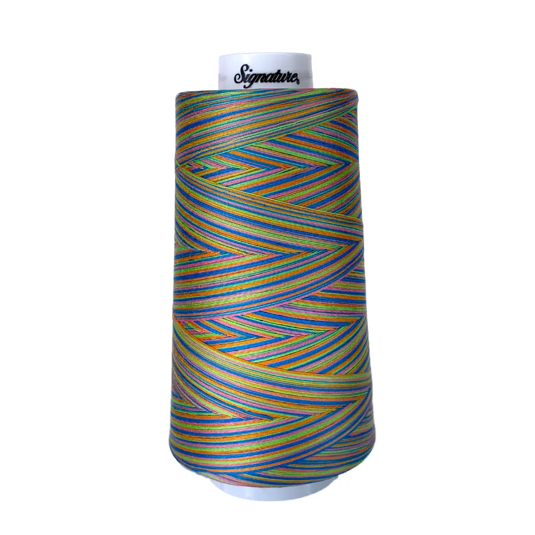 F253 Summery Fun Signature Cotton Variegated Thread