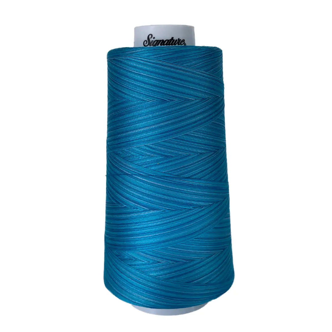 F258 Dreamy Blues Signature Cotton Variegated Thread