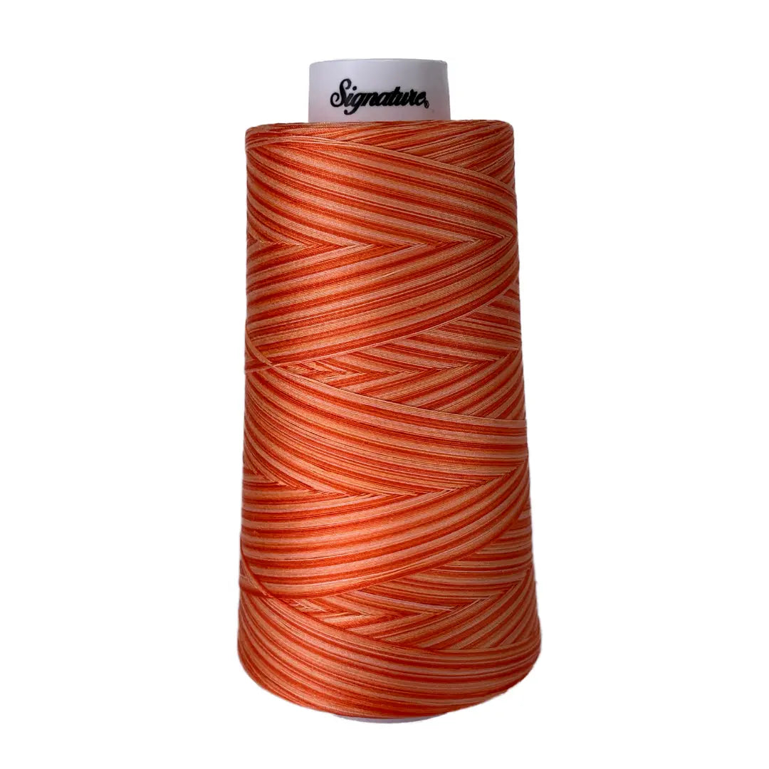 F261 Orange Craze Signature Cotton Variegated Thread