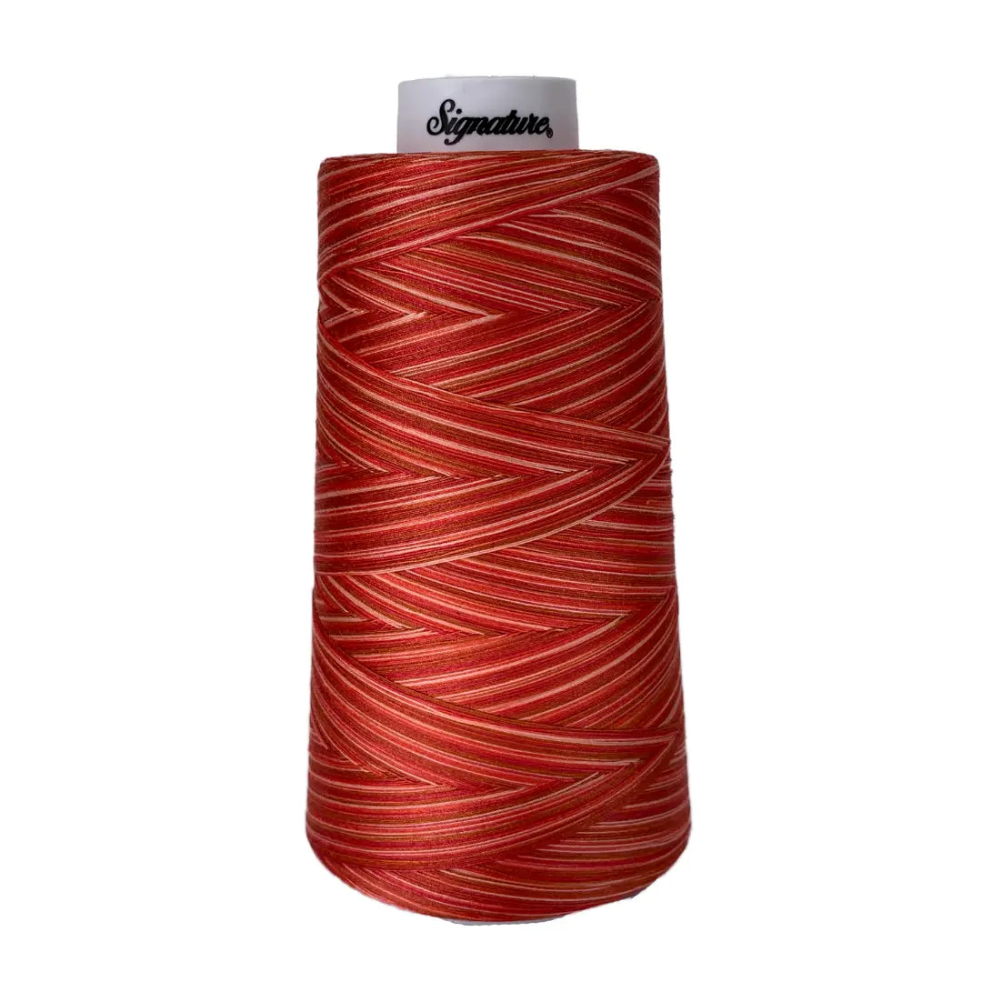 F262 Amber Glow Signature Cotton Variegated Thread