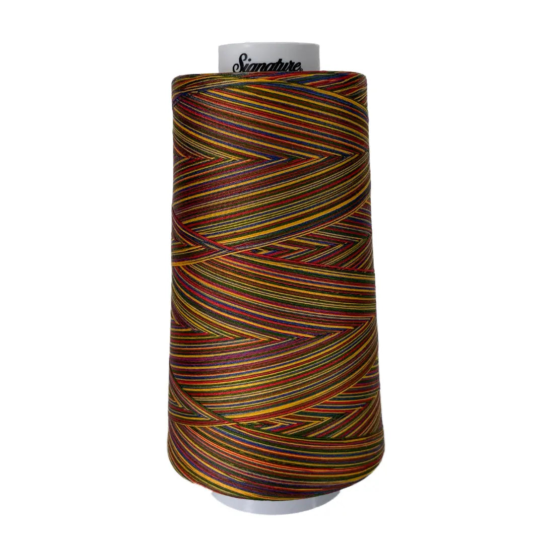 M01 Brights Signature Cotton Variegated Thread