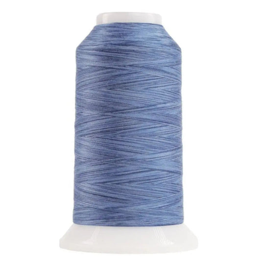 9004 Baby Benjamin Omni Variegated Polyester Thread