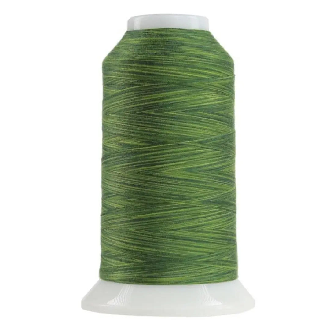 9054 Verdant Omni Variegated Polyester Thread