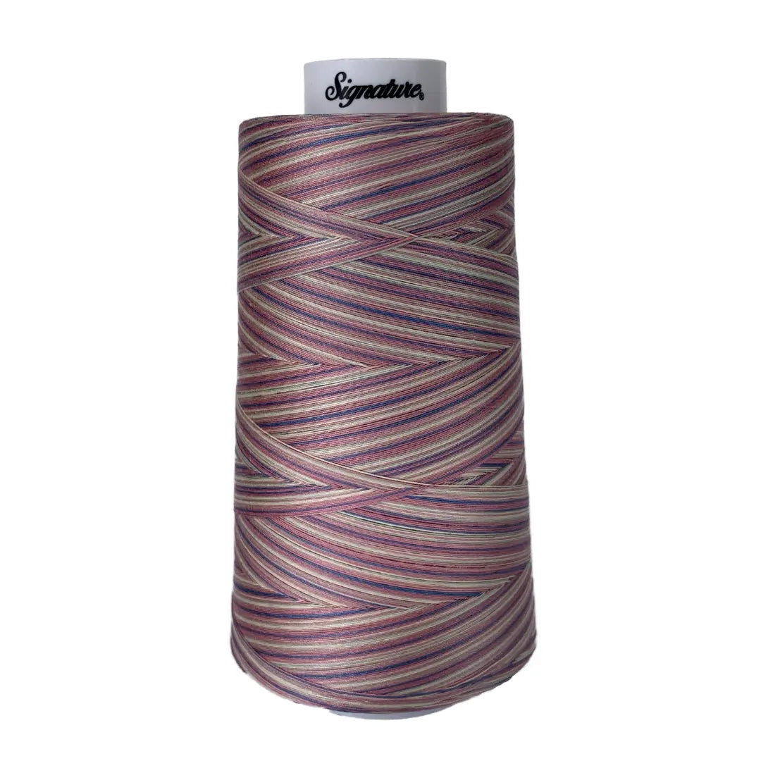 M06 Victorian Variegated Signature Cotton Variegated Thread