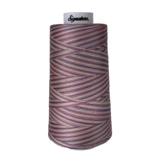 M06 Victorian Variegated Signature Cotton Variegated Thread