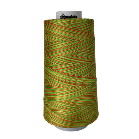 M10 Citrus Signature Cotton Variegated Thread