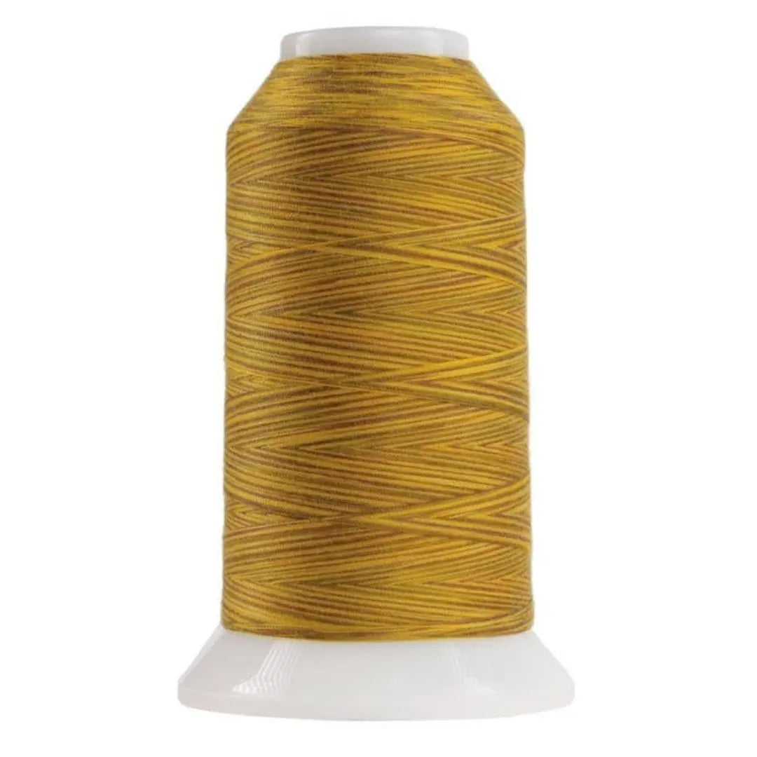 9130 Leo The Lion Omni Variegated Polyester Thread