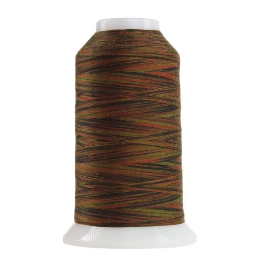 9144 Ottoman Omni Variegated Polyester Thread