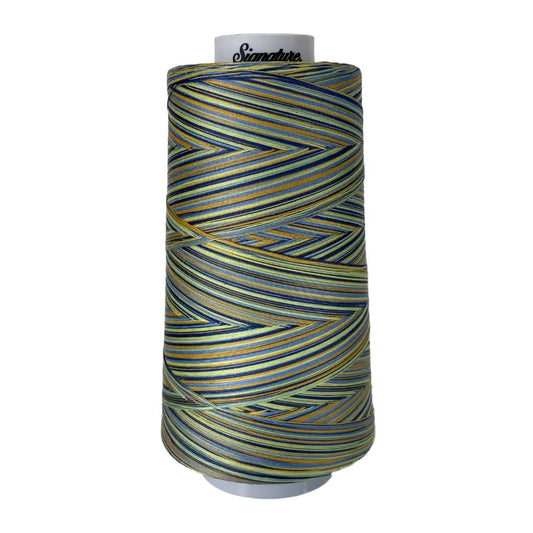 M17 French Country Signature Cotton Variegated Thread