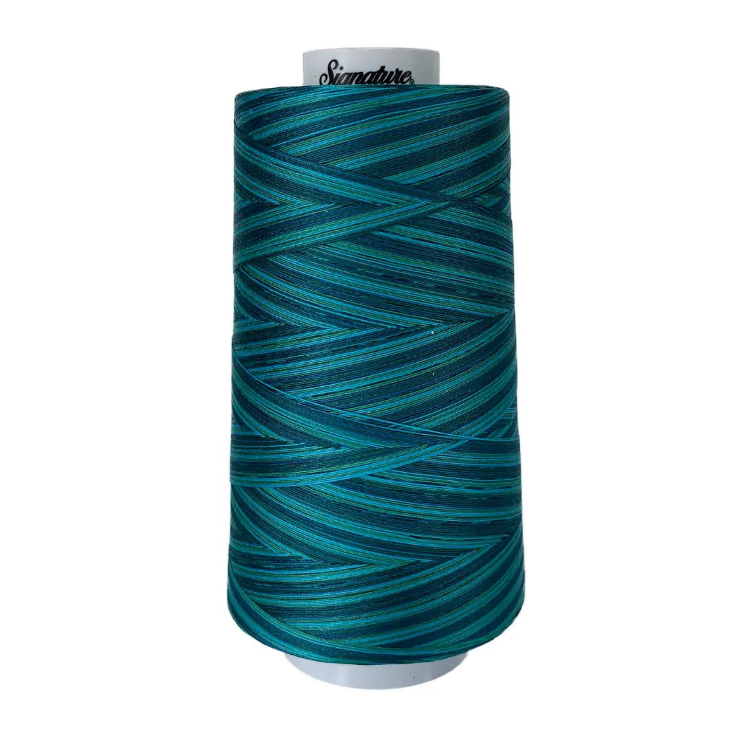 M18 Island Waters Signature Cotton Variegated Thread