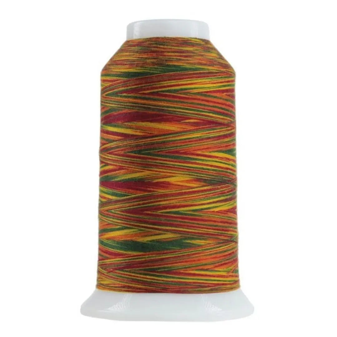 9150 Mix and Mingle Omni Variegated Polyester Thread