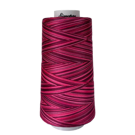 M79 Raspberries Signature Cotton Variegated Thread