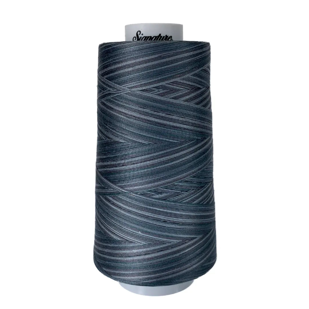 M81 Smokey Blues Signature Cotton Variegated Thread