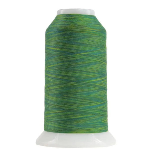 9007 Rolling Hills Omni Variegated Polyester Thread