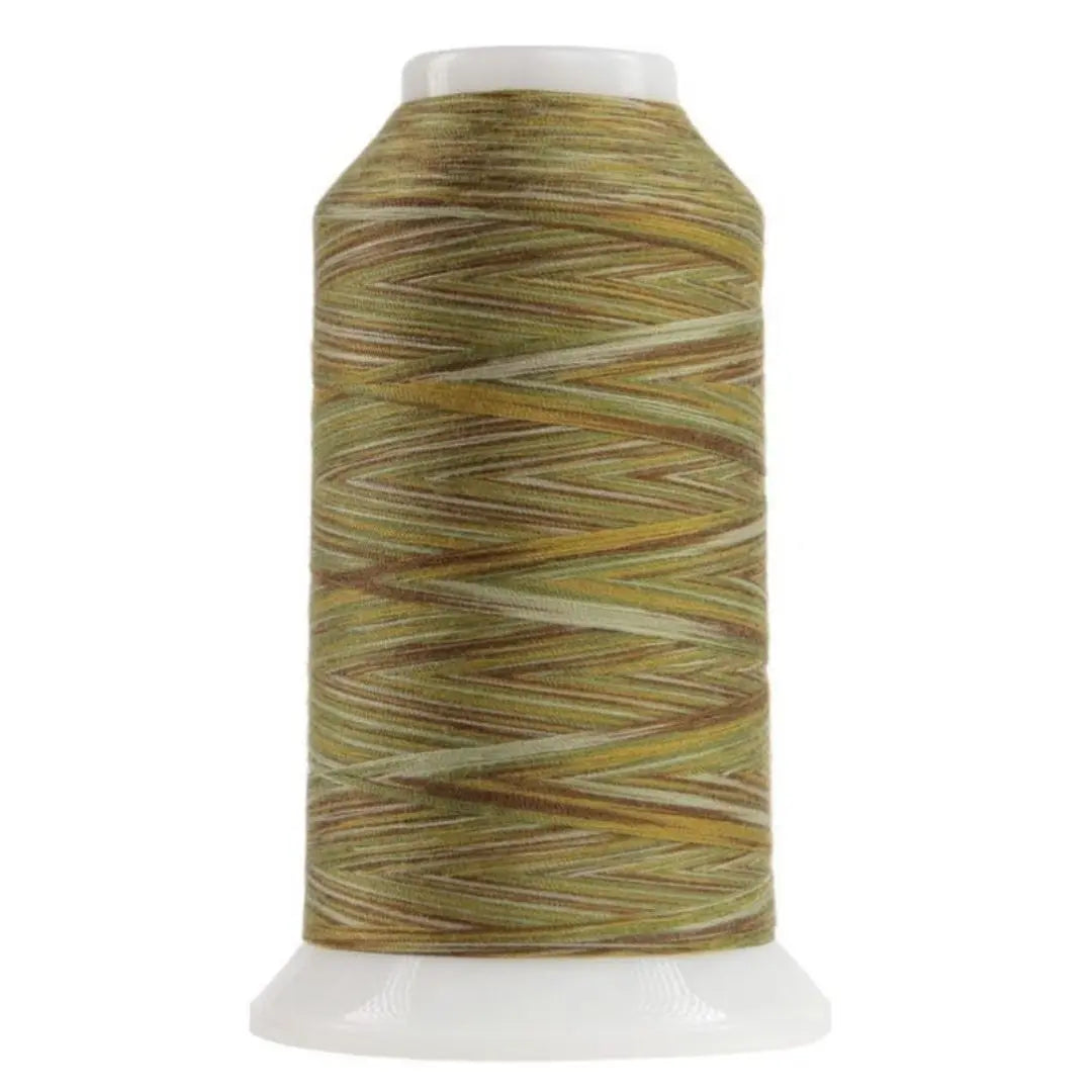 9010 Multigrain Omni Variegated Polyester Thread