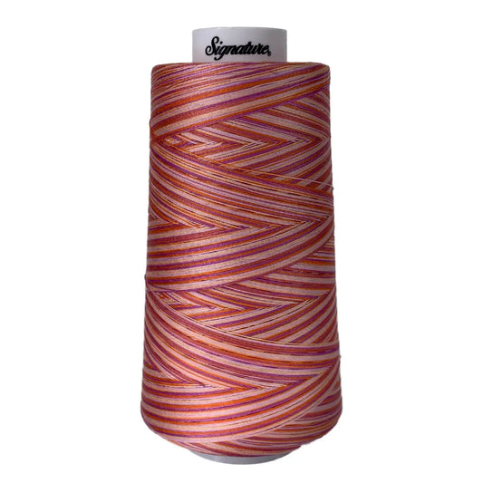 F154 Cotton Candy Signature Cotton Variegated Thread