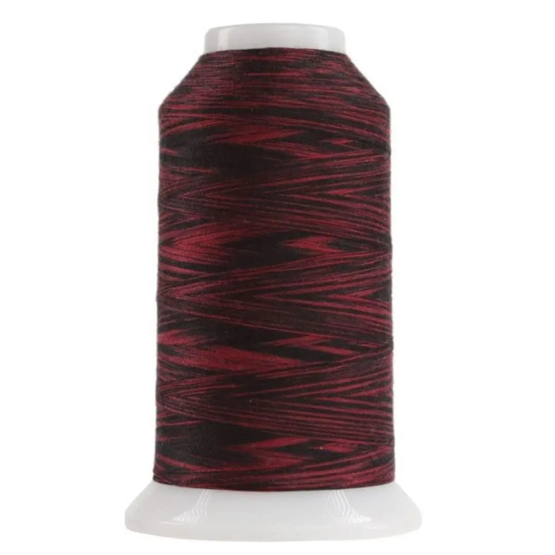 9017 Ladybug Omni Variegated Polyester Thread