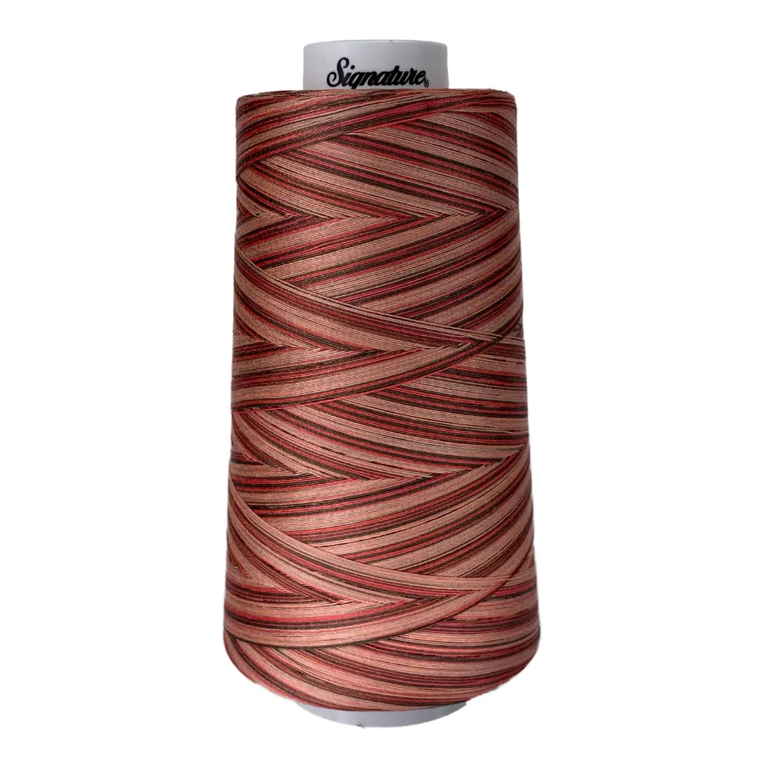 F250 Canyon View Signature Cotton Variegated Thread