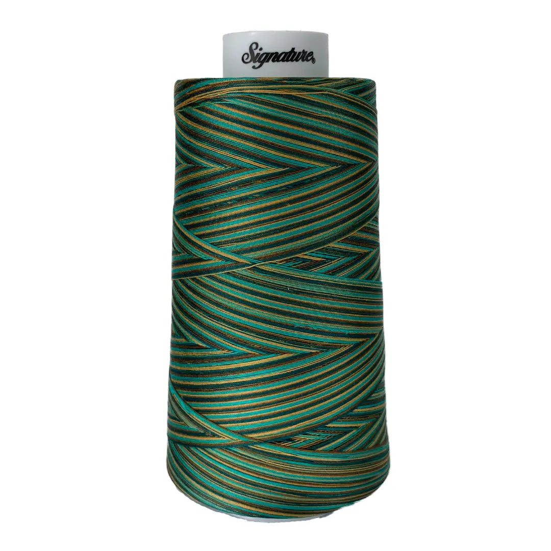 F251 Atlantis Signature Cotton Variegated Thread