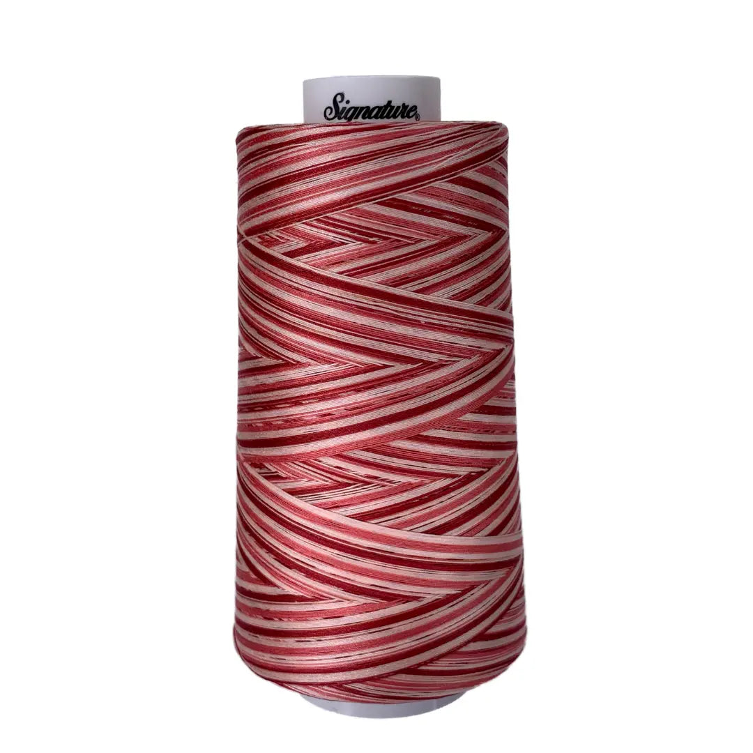 F252 Strawberry Shortcake Signature Cotton Variegated Thread